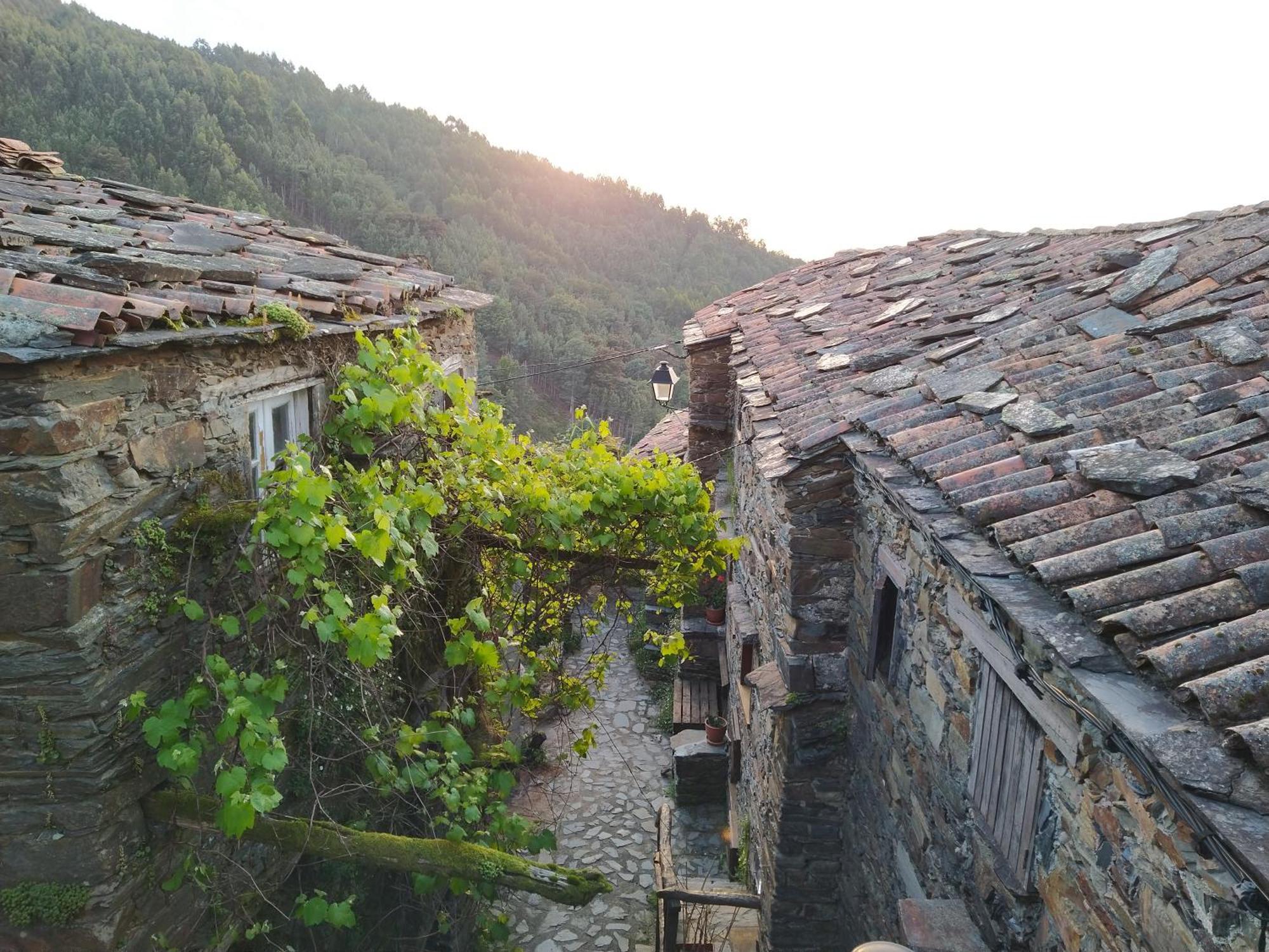 Casa Ferreira-talasnal * Talasnal